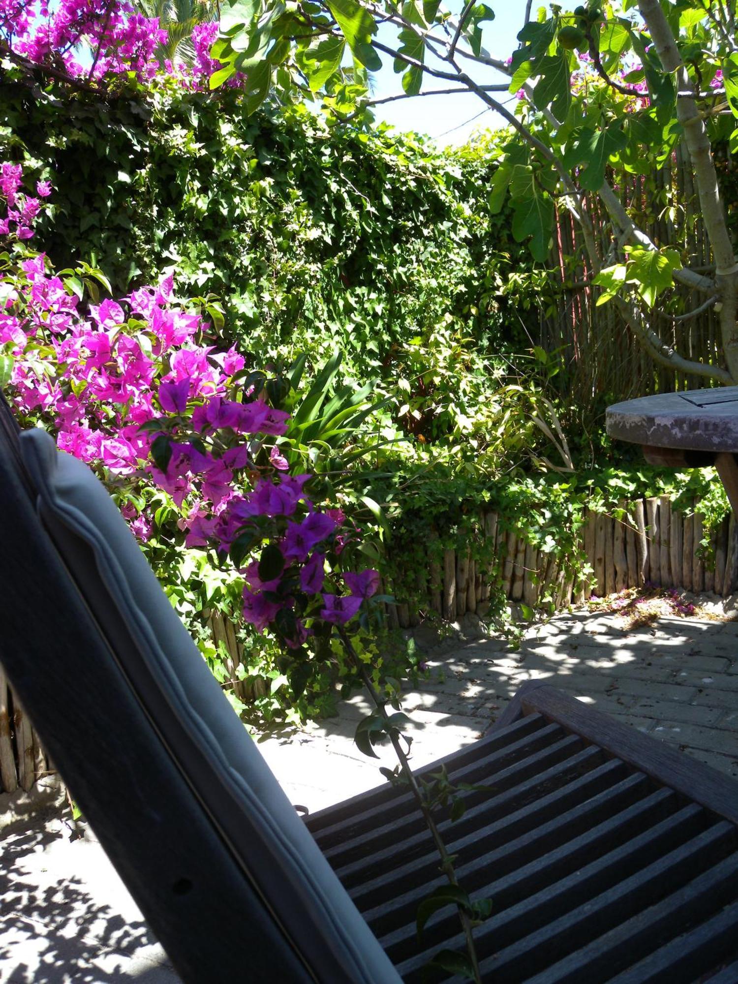 בלוברגסטראנד Capetown 4U Guesthouse מראה חיצוני תמונה